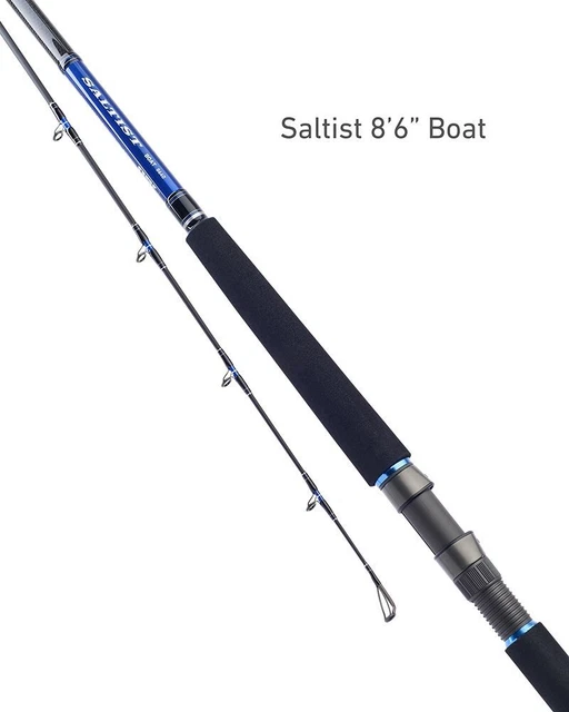 SALTIST ボートシーバス　BS66MLB ベイトキャスティングロッド SALTIST（ソルティスト）｜DAIWA