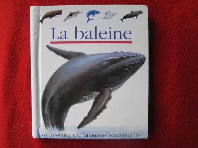 Mes Premières Découvertes Gallimard Jeunesse  La Baleine TBE