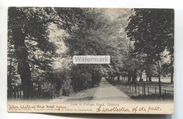 Dulwich - Lane in College Road - old Albert Flint London postcard