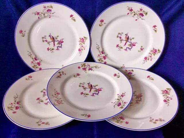 5 Piece Old Abbey Limoges France Handpainted Floral Exotic Bird Dinner Plate Set