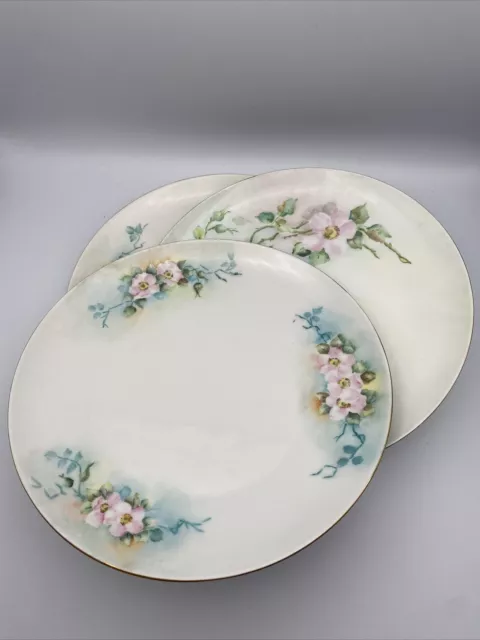 Hutschenreuther Selb Bavaria Hand Painted Signed Vintage Floral Porcelain Plates