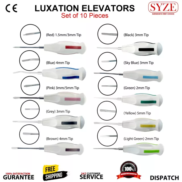 Luxation Elevator Dental Surgical Dentist Tooth Root Extraction Elevators 10PCS