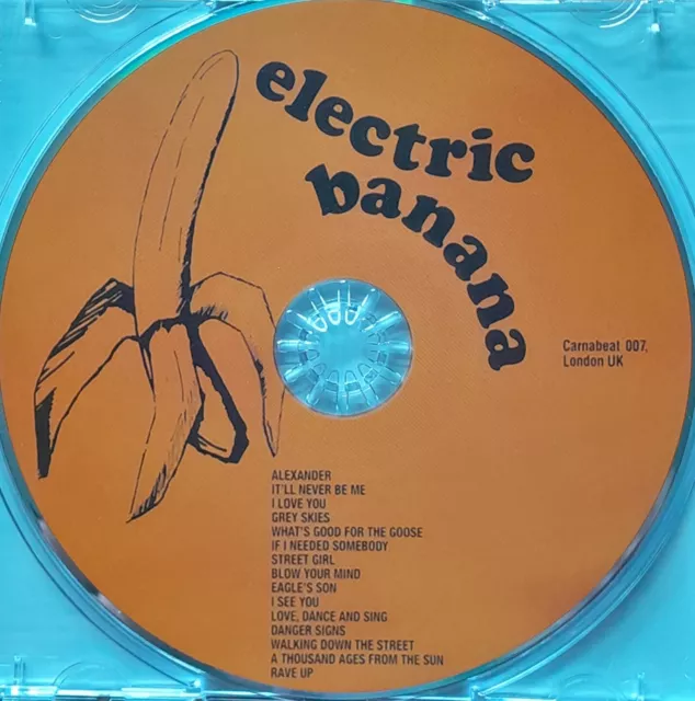The Electric Banana - Blows Your Mind (CD) The Pretty Things 3