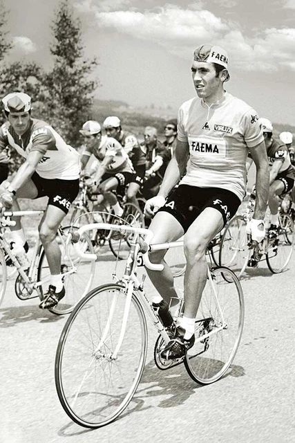 Poster Cyclisme Eddy Merckx – 50x70 Cm, Impression Italie, Neuf