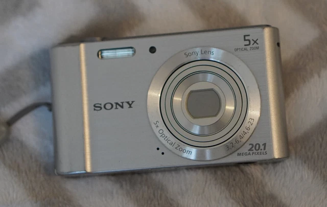 Sony Cyber-shot DSC-W800 20.1MP Digital Camera - Silver