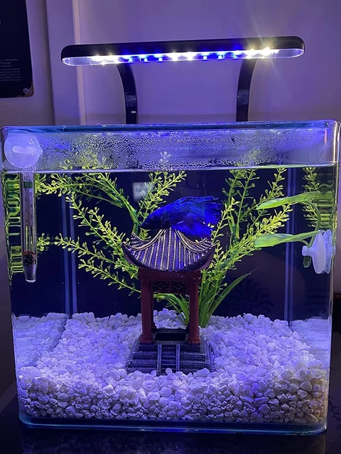 3 Gallon ROUNDED GLASS CORNERS Aquarium Fish Shrimp Betta Tank With LED Lighting