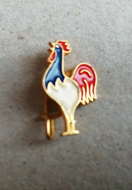 Insigne Épinglette Vintage Infirmière - Qualification Hôpital De Belfast - Émaillé