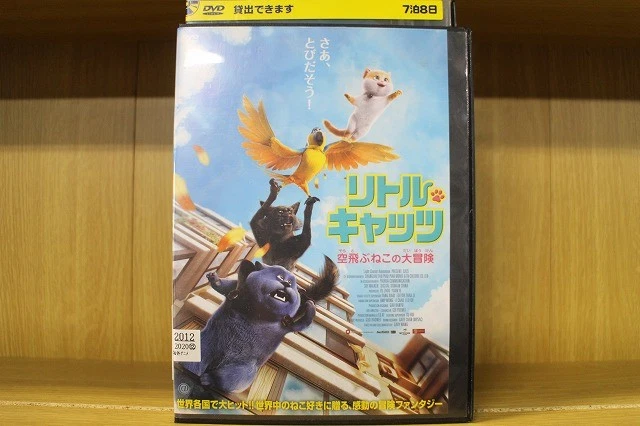 JIMOTO×JIMOTO×JIMOTO [DVD] JIMOTO×JIMOTO×JIMOTO [DVD] Amazon.com: Z / X Ignition