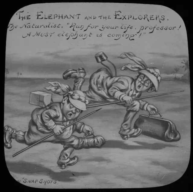 Magic Lantern Slide Set THE ELEPHANT AND THE EXPLORERS C1910 COMIC TALE