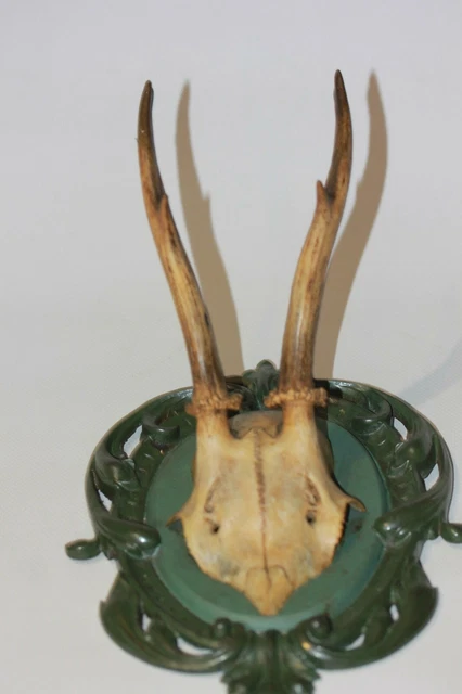 Plaque Trophée En Bois De Frêne Pour Chevreuil/chamois - Dimensions 20x11 Cm, Fabrication Directe, Qualité Garantie