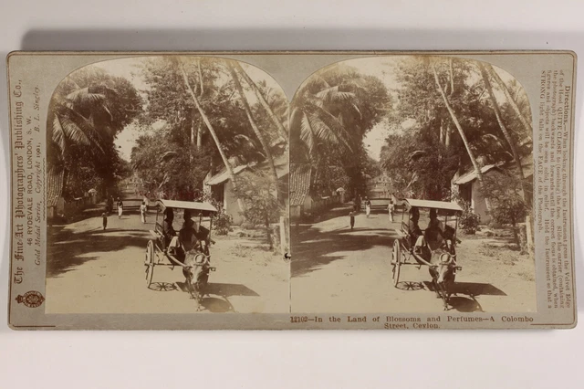 Sri Lanka Ceylon Colombo L8n1 Foto Stereo Vintage Citrat 1901