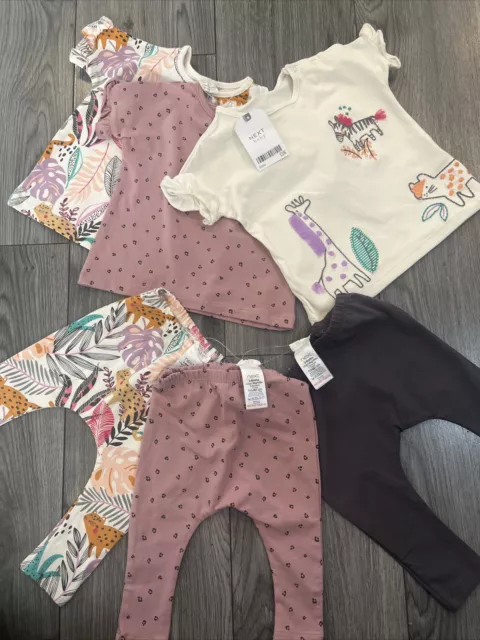 Next Baby Girl 3-6 Months Tops And Leggings Outfits Bundle BNWT