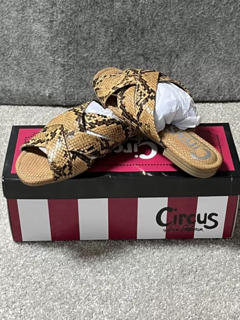 Circus by Sam Edelman Sandals Womens 5.5 Medium  Burnett Snake Print Flat