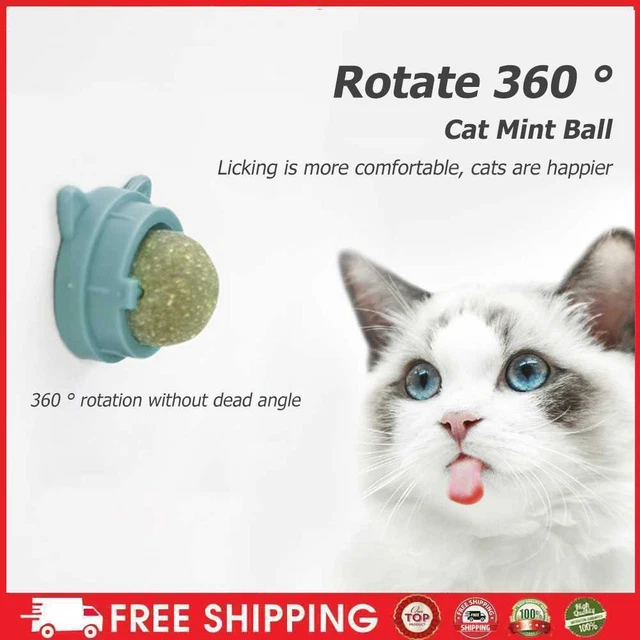 Palla girevole per menta gatta, palline naturali per gatti, menta molare-gatta-Sn