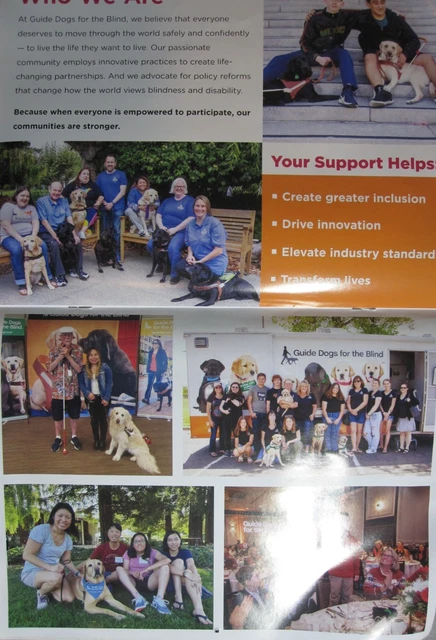 2025 2026 GUIDE DOGS For The Blind Fifteen Month Wall Calendar 4 15 2025 2026 Guide Dogs For The Blind Fifteen Month.webp