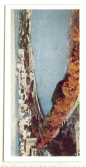 Lyons Tea. Australia. 1959. Card No. 4.