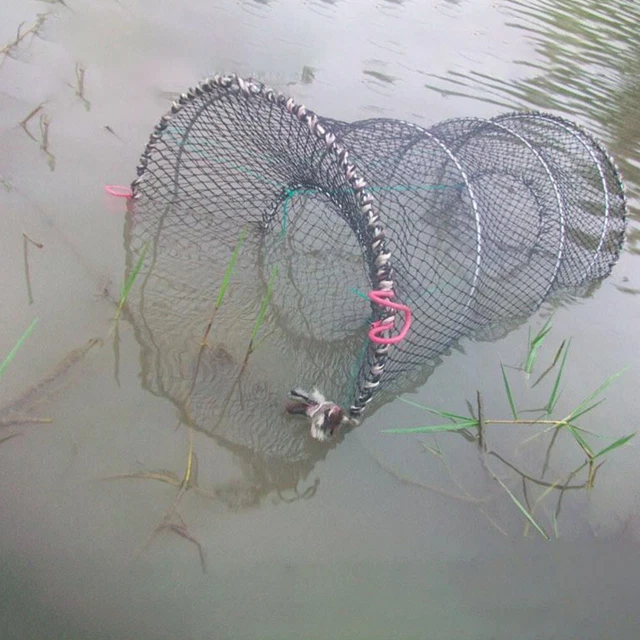 TRAPPOLA PER ARAGOSTE esca Minnow rete per gamberetti rete pieghevole
