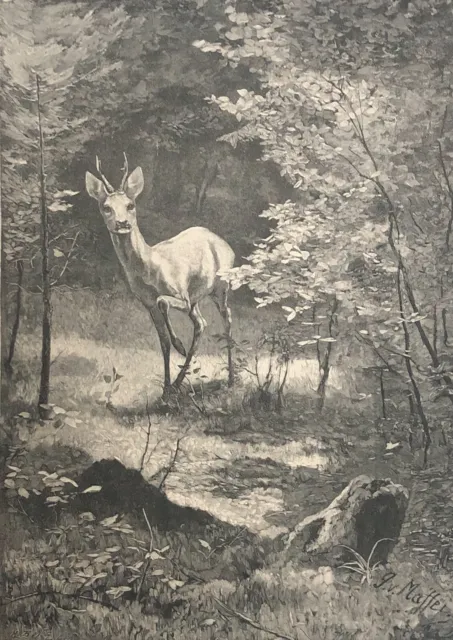 Cerf au bois à l'Auromne d'après Maffei gravure en xylographie vers 1880 cervidé
