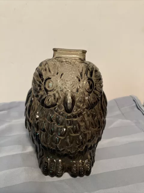Vintage Wise Old Owl Glass Coin Piggy Bank