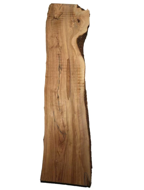 Bois D'Olivier Brett Olivier Exotique 120x24-32cm x 25mm