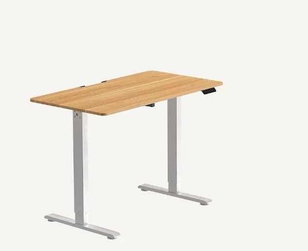 flexispot home office standing desk