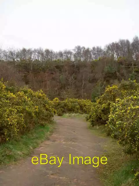 Photo 6x4 Irby Quarry. Heswall Another view of the disused quarry. c2008