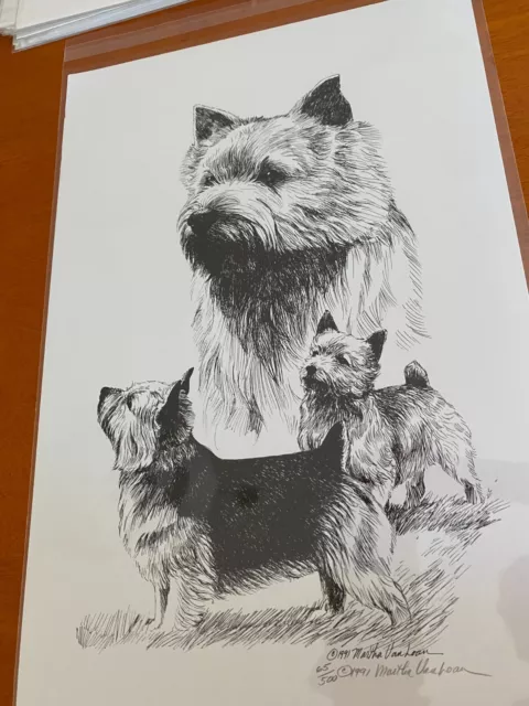 Norwich Terrier trio  Limited Edition  Print By Van Loan 11x17