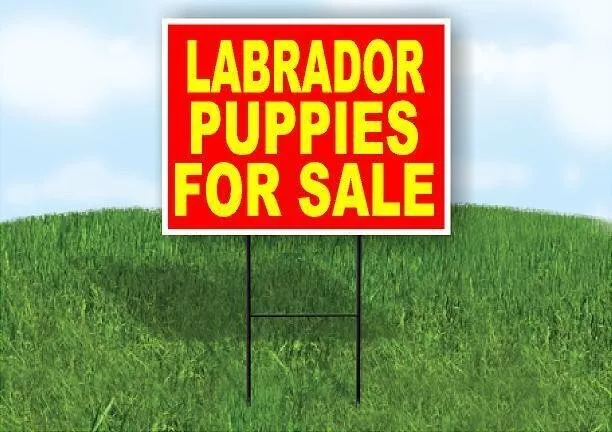 LABRADOR PUPPIES FOR SALE YELLOW RED Yard Sign Road with Stand LAWN SIGN