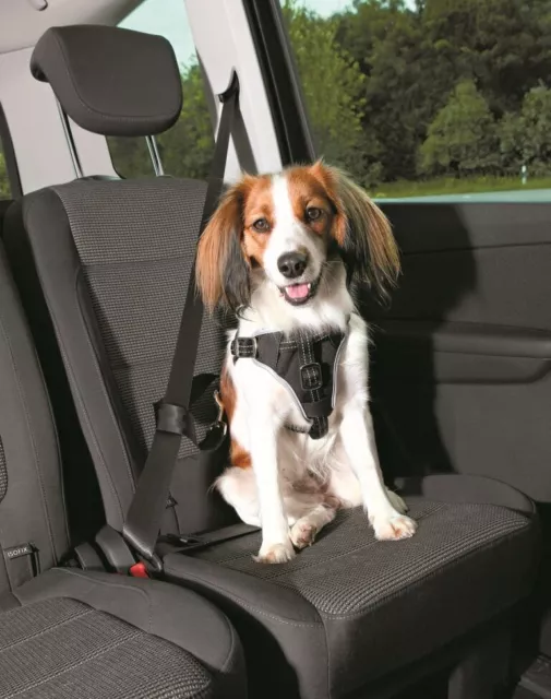 Trixie Auto-Geschirr Chien Protect, Noir, Différentes Tailles 2