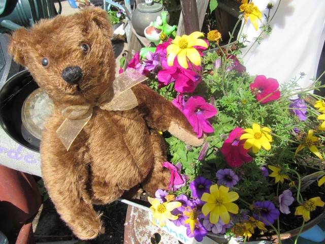 Vintage Mohair Teddy Bear Chocolate Coco Brown  9" Artist Steiff Look Long Arms