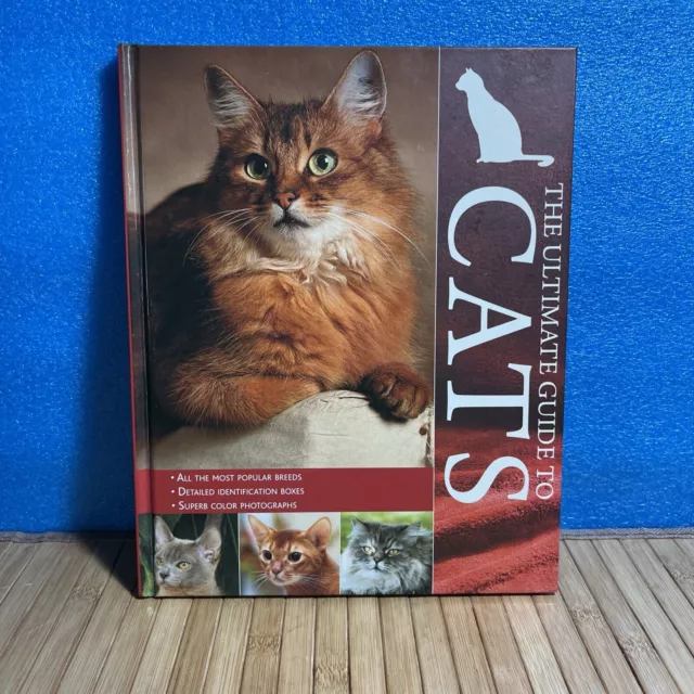 The Ultimate Guide To Cats