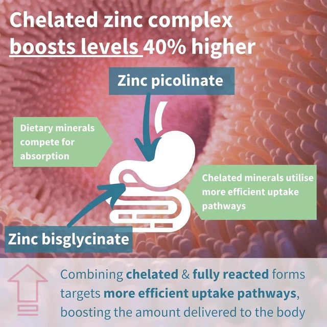 HIGH ABSORPTION ZINC 25mg & Copper Supplement, Clean Ingredients, 180