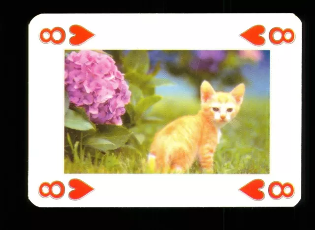 1 x playing card Beautiful Cat Series - see photograph - 8 of Hearts S34