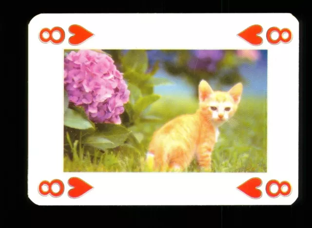 1 x tarjeta de juego Beautiful Cat Series - ver fotografía - 8 of Hearts S34