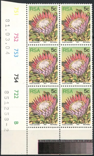 South Africa 1977-82 SG#418a 5c Proteas, Plants Definitive P14x13.5 Block #E9006