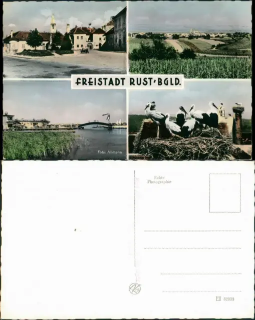 Ansichtskarte Rust Ruszt | Rušta Mehrbild. Straßen, Störche 1962