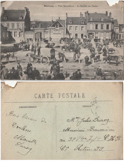 CARTE POSTALE ANCIENNE - DOULLENS - Place Notre-Dame - Le Marché aux Vaches -