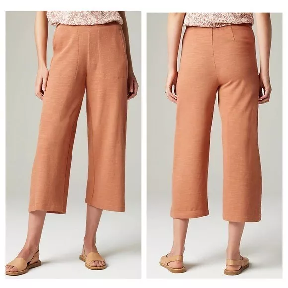 NWT J. Jill Pure French Terry Full Leg Crops Pull On Cozy Pants In Sable Size M