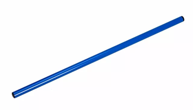 Gymnastikstab - Gymnastikstäbe - Stab - Stäbe - Turnen - Farbe: blau