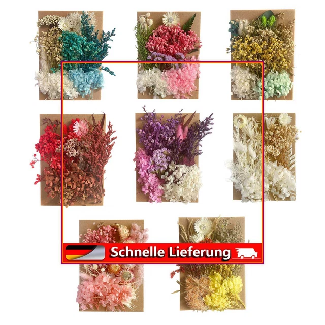 Flores secas reales prensadas para moldes de resina joyería jabón y velas