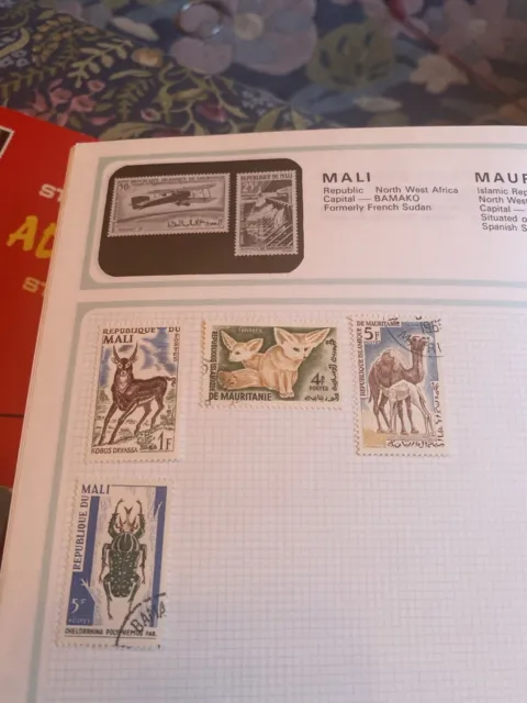 worldwide stamp collection in album 900 Stamps