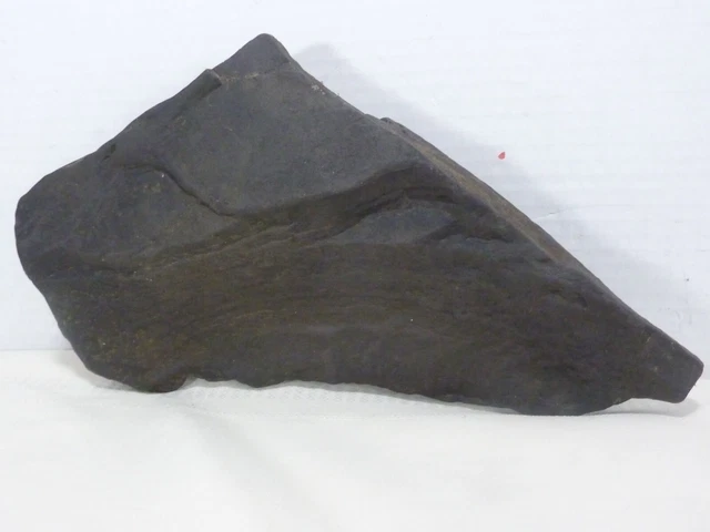 Paleo-American Prehistoric Large Stone Tool / Effigy Original Artifact