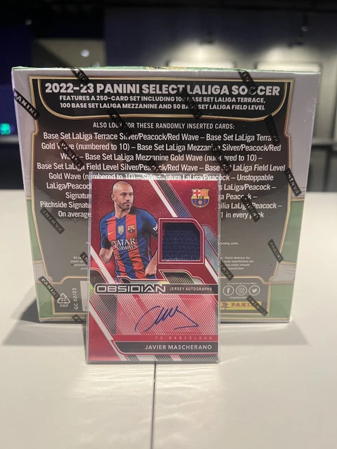 La drástica decisión que tomó Javier Mascherano respecto a la Selección