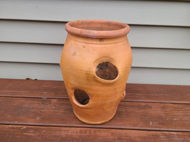 Hewell's Terra-Cotta Strawberry Hens Chicks Pottery Planter 12 3/4" Hewell's Terra-Cotta Strawberry Hens Chicks Pottery Planter 12 3/4"