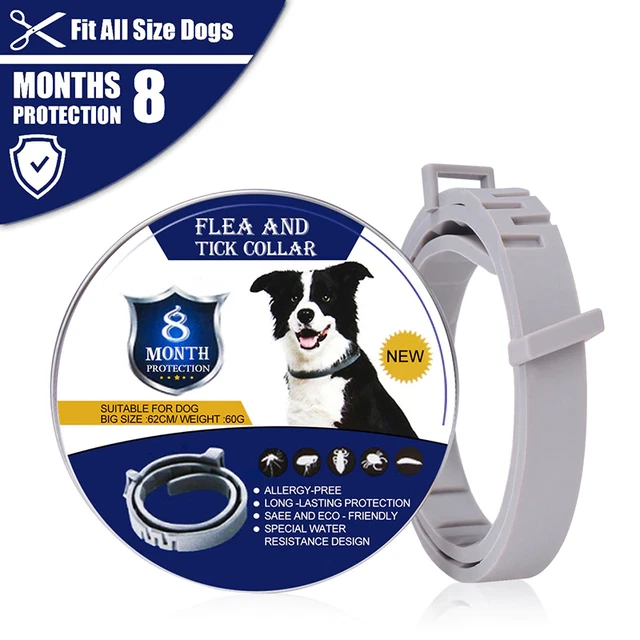 x1 Collar anti parasitos pulgas garrapatas para perros duracion 8 meses mascotas