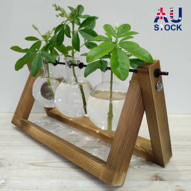 Plant Propagation Station Desktop Bulb Glass Vase With Wooden Stand Hydroponics