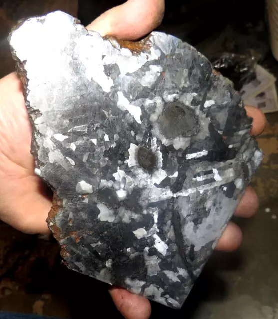 Beautiful 694 Gm Campo Del Cielo Etched Meteorite Slab!!!
