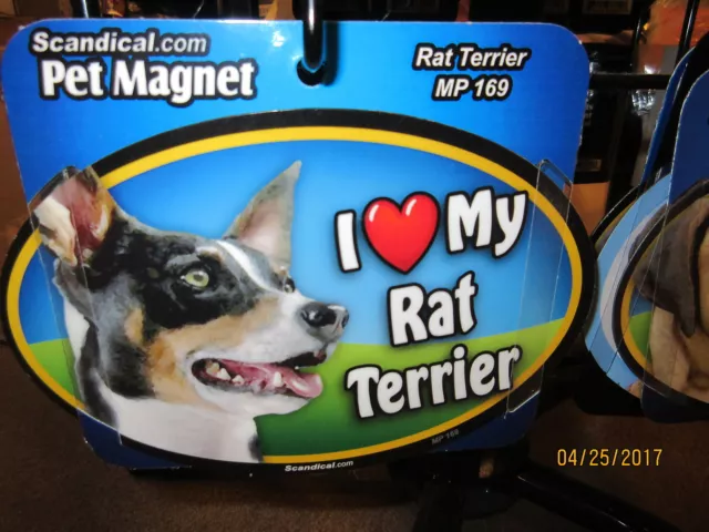 I Love My Rat Terrier 6 inch oval magnet for car or anything metal  New