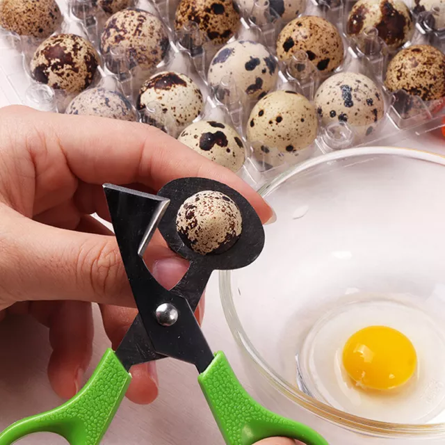 pigeon Quail Egg Scissor Bird Cutter Opener Egg Slicers Kitchen Tool Clipp mj