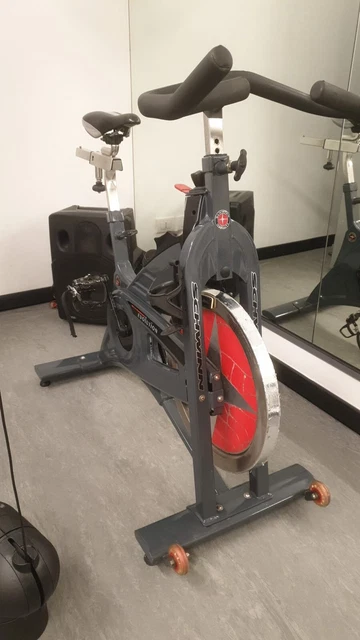 Schwinn Spin Bike Magnetica Usata Cyclette Bike Bici Spinning